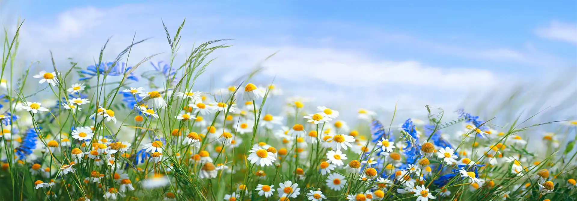 Bipolar Disorder Treatment at Sheridan Grove Recovery, Aurora, Colorado