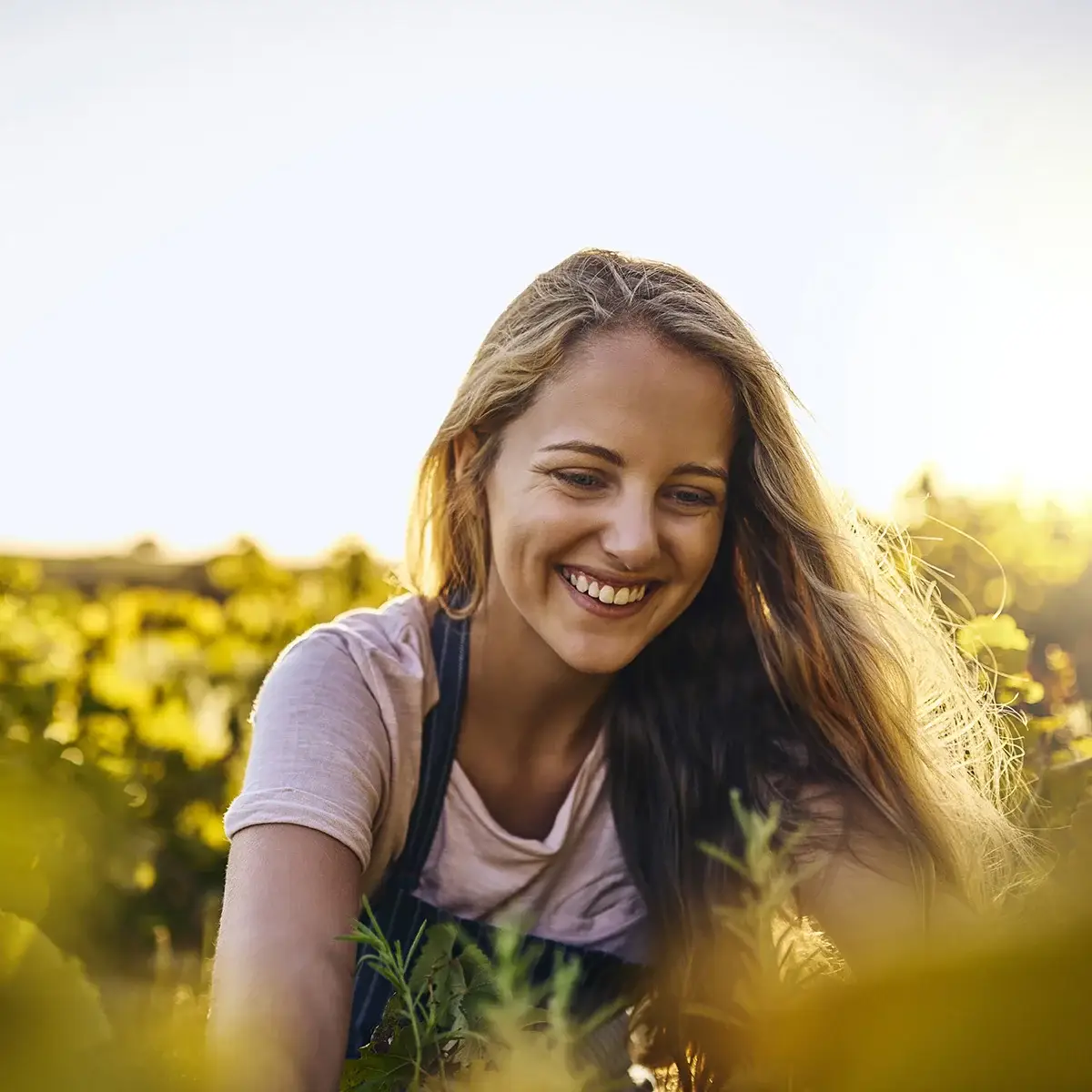 A woman gardens outside with the sun glowing in the distance. She is enjoying this activity after residential treatment at Sheridan Grove Recovery.