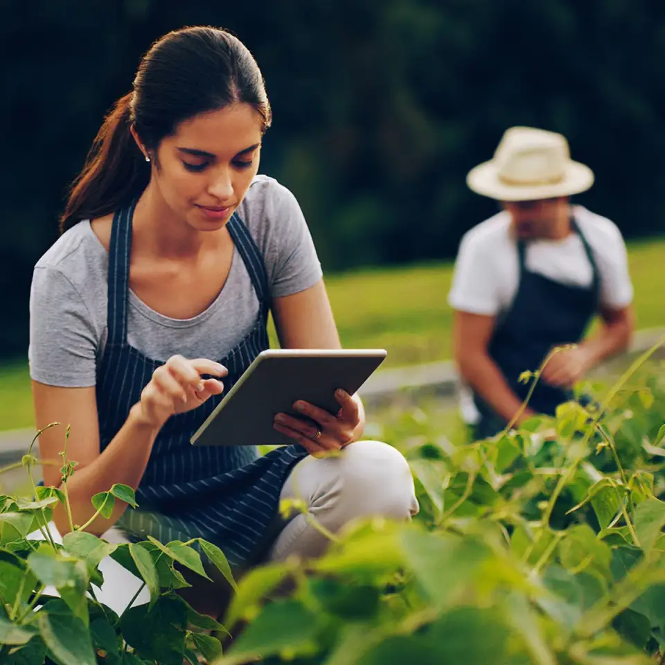 A woman uses an iPad to track what she's growing in her garden. She's just finished medication-assisted treatment at Sheridan Grove Recovery and is rebuilding her life.