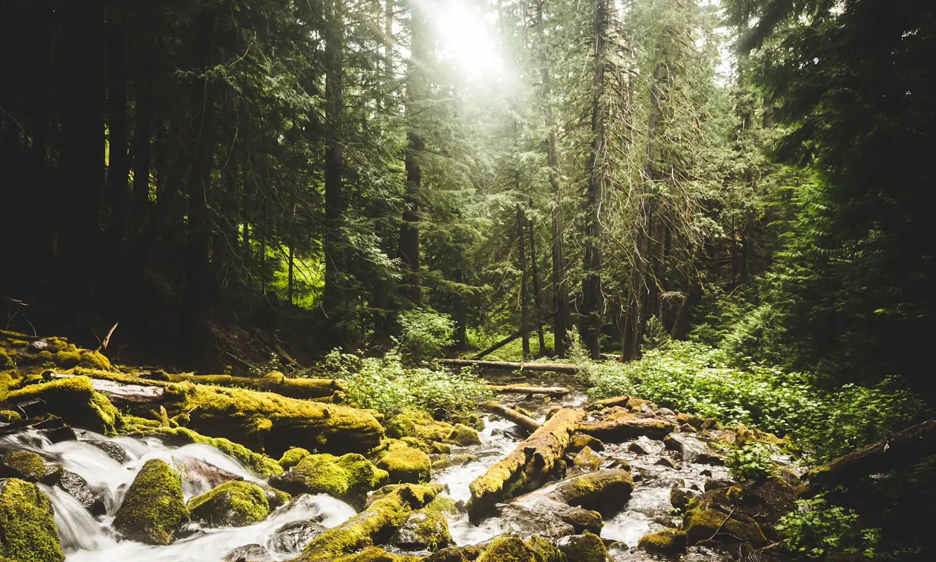 Co-Occurring Disorders Treatment at Sheridan Grove Recovery, Aurora, Colorado