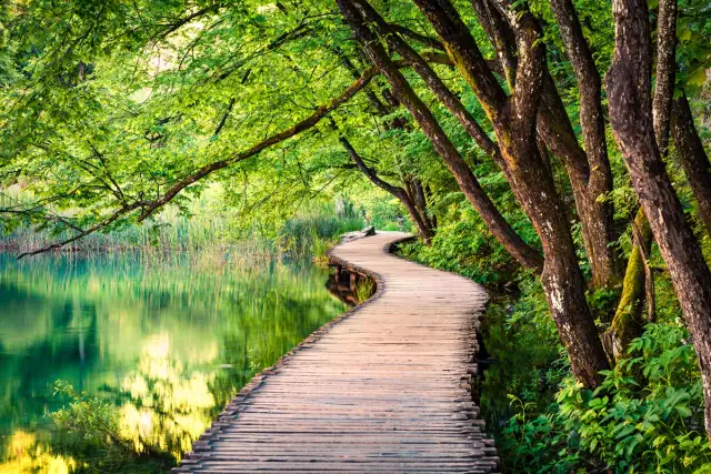 Why medical detox is safer than going cold turkey