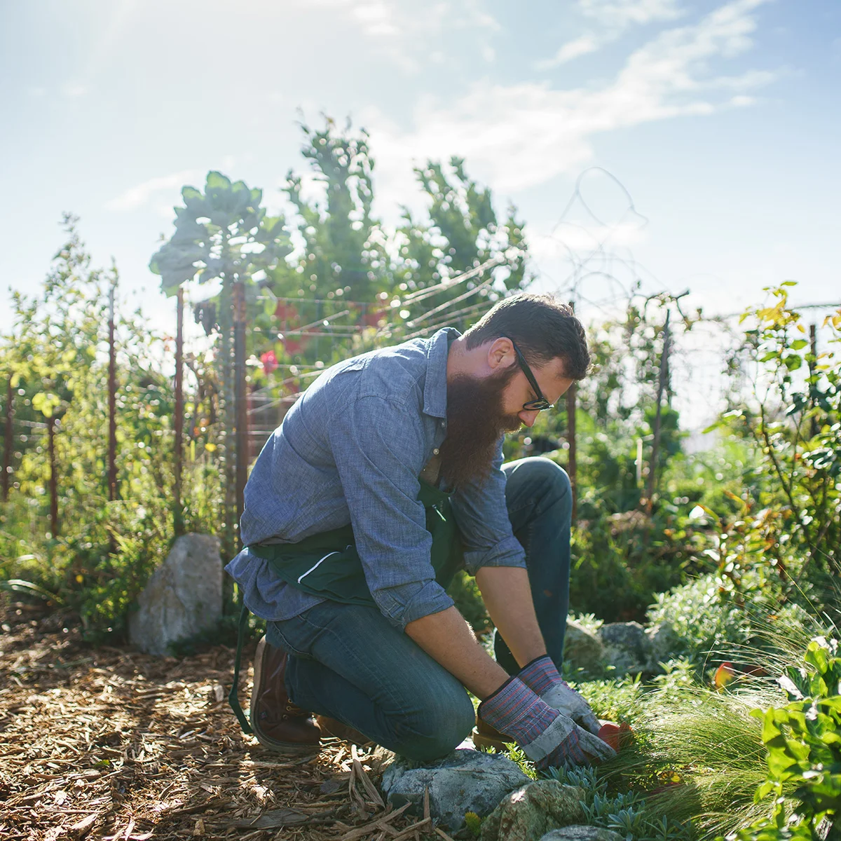 A man kneels while tending his garden. He's discovering new hobbies while participating in co-occurring disorders treatment at Sheridan Grove Recovery.