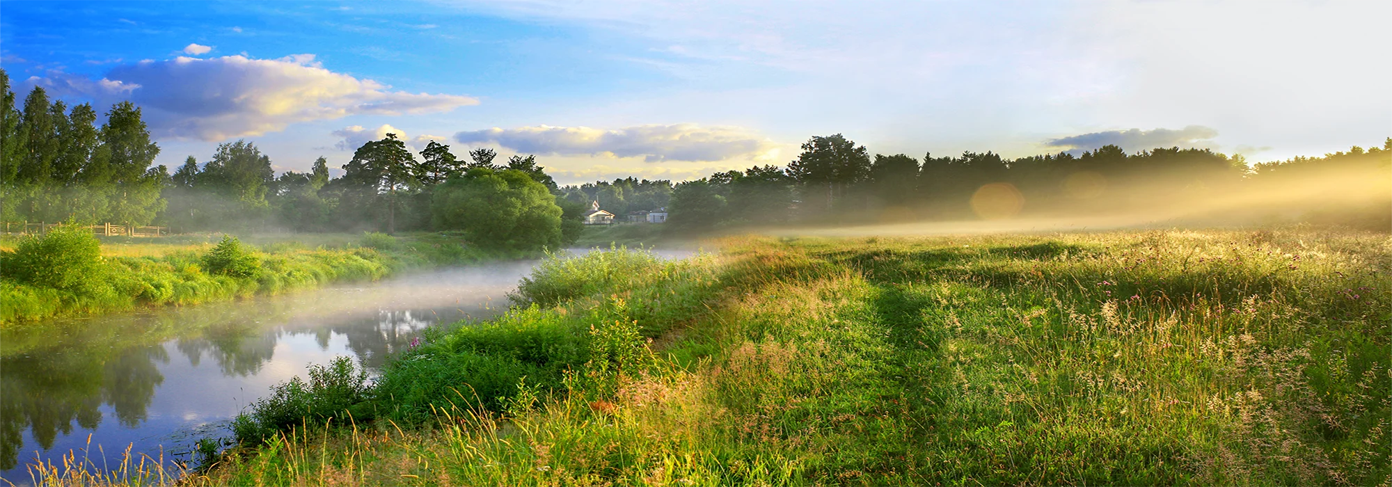 What’s the Difference Between Detox and Withdrawal Management?