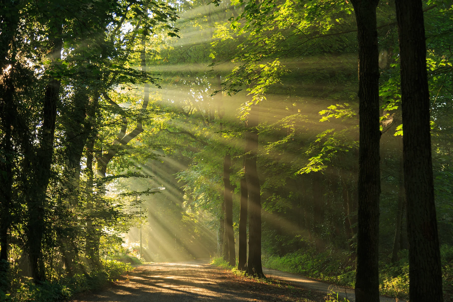 What Is CBT? How Cognitive Behavioral Therapy Works in Addiction Recovery